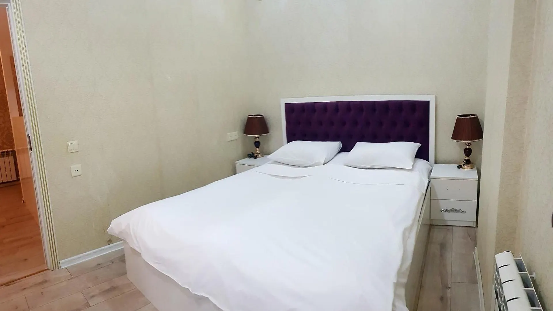 Luxor Central Baku Apartmen On Nizami Street 0*,